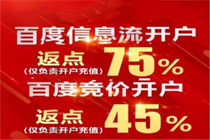 某知名百度推广代理商的营销策略分析